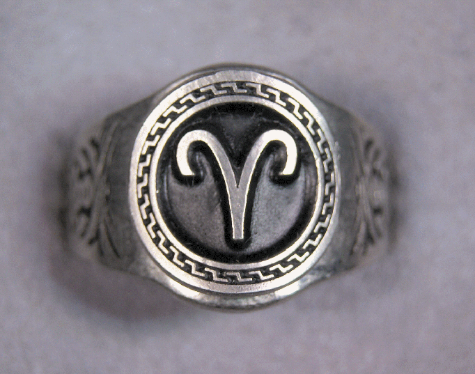 Zodiac rings All Signs Astrology Sign Jewelry Sizes 7 to 14 Your Choice